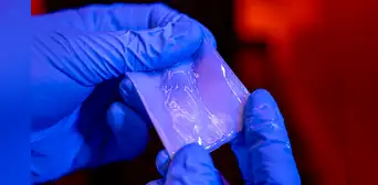 ¿Adiós al plástico?: científicos crean un nuevo material biodegradable igual de flexible y con la resistencia de un metal ¿Adiós al plástico?: científicos crean un nuevo material biodegradable igual de flexible y con la resistencia de un metal