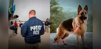 ICE obliga a familia de inmigrantes en Los Ángeles a autodeportarse de EEUU: tuvieron que dejar su perro en refugio ICE obliga a familia de inmigrantes en Los Ángeles a autodeportarse de EEUU: tuvieron que dejar su perro en refugio
