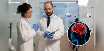 Científicos de Inglaterra logran identificar cómo el cerebro humano diferencia lo real de lo ficticio Científicos de Inglaterra logran identificar cómo el cerebro humano diferencia lo real de lo ficticio