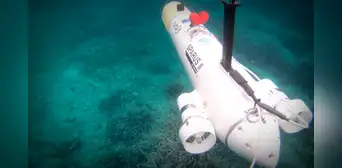 Sparus II, el nuevo dron submarino español que será clave en la seguridad de la OTAN junto con Estados Unidos Sparus II, el nuevo dron submarino español que será clave en la seguridad de la OTAN junto con Estados Unidos