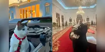 Con custodia policial, en coche para bebés y sobre alfombra azul: así se transporta el gato del presidente de Indonesia Con custodia policial, en coche para bebés y sobre alfombra azul: así se transporta el gato del presidente de Indonesia