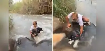 Streamer Shuls se lanza al río para salvar a su perrito que era arrastrado por la corriente: “Me hizo desesperar”