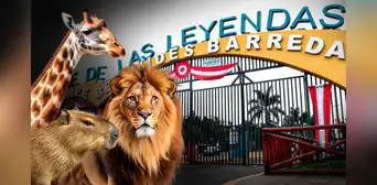 Parque de las Leyendas ofrece entradas gratis por Fiestas Patrias este 28 y 29 de julio: ¿para quiénes? Parque de las Leyendas ofrece entradas gratis por Fiestas Patrias este 28 y 29 de julio: ¿para quiénes?