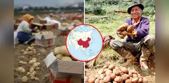 País asiático superó al Perú como el mayor consumidor de papa en el mundo: consumen más de 80 mil toneladas anuales