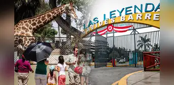 Fiestas Patrias en el Parque de las Leyendas: conciertos, talleres y shows gratis este 28 y 29 de julio Fiestas Patrias en el Parque de las Leyendas: conciertos, talleres y shows gratis este 28 y 29 de julio