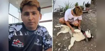 Streamer Shuls fue intervenido tras reclamo de antiguos dueños de un perro rescatado en Ate: “Por 24 horas”