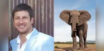 Muere millonario dueño de safari tras ser atacado y pisoteado por un elefante en Sudáfrica Muere millonario dueño de safari tras ser atacado y pisoteado por un elefante en Sudáfrica