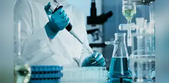 Científico en Harvard da un paso histórico hacia el 'origen de la vida' al crear vida artificial desde cero Científico en Harvard da un paso histórico hacia el 'origen de la vida' al crear vida artificial desde cero