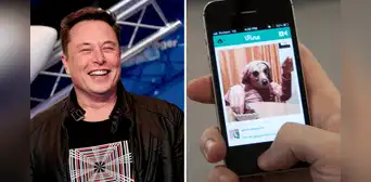 Elon Musk quiere revivir Vine, el antecesor de TikTok: "Lo traeremos de vuelta, pero en forma de IA"