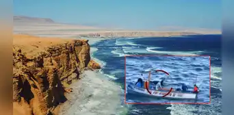 Pescadores asesinan a lobo marino que se quedó enredado en malla de pescar en la Reserva Nacional de Paracas Pescadores asesinan a lobo marino que se quedó enredado en malla de pescar en la Reserva Nacional de Paracas