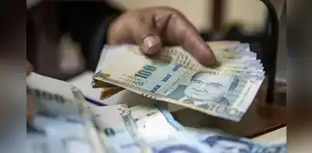 Gratificación: más de 450 denuncias ante Sunafil por incumplimiento de pago de este beneficio laboral