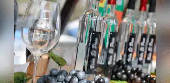 ¿Por qué se celebra el Día del Pisco este 27 de julio? Origen e importancia de la bebida bandera del Perú ¿Por qué se celebra el Día del Pisco este 27 de julio? Origen e importancia de la bebida bandera del Perú