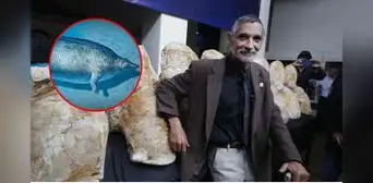 Paleontólogo peruano Mario Urbina halla 5 especies fósiles marinas inéditas en el desierto de Nasca: "No hay precedentes en el mundo" Paleontólogo peruano Mario Urbina halla 5 especies fósiles marinas inéditas en el desierto de Nasca: "No hay precedentes en el mundo"