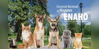 INEI incluirá por primera vez módulo sobre mascotas y su cuidado en Perú en la ENAHO 2025: estas serán las preguntas