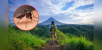 Minsa recomienda medidas clave contra el dengue para quienes viajen por Fiestas Patrias