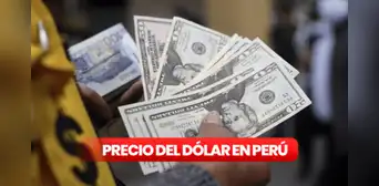 Precio del dólar en Perú HOY, martes 29 de julio de 2025: ¿cuál es la cotización del tipo de cambio? Precio del dólar en Perú HOY, martes 29 de julio de 2025: ¿cuál es la cotización del tipo de cambio?