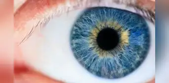Descubren nuevo color que no se puede percibir de manera natural por el ojo humano: solo 5 personas lo han visto