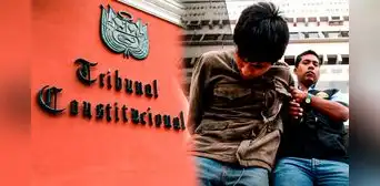 Tribunal Constitucional admite a trámite demanda contra ley que penaliza a menores de 16 y 17 años