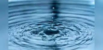 La microdescarga en gotitas de agua habrían iniciado el surgimiento de la vida en el planeta La microdescarga en gotitas de agua habrían iniciado el surgimiento de la vida en el planeta