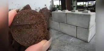 Científicos descubren que los residuos del café molido pueden mejorar la dureza del cemento de construcción Científicos descubren que los residuos del café molido pueden mejorar la dureza del cemento de construcción