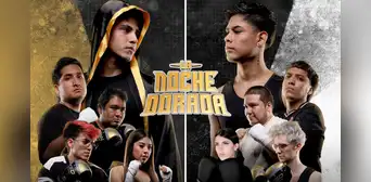 ¿Cuándo es La Noche Dorada 2025? Cristorata, Fanodric, Dafonseka, Zullyy y más streamers participarán del evento en Lima ¿Cuándo es La Noche Dorada 2025? Cristorata, Fanodric, Dafonseka, Zullyy y más streamers participarán del evento en Lima