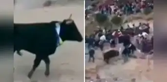 Enorme toro escapa de ruedo tras saltar muro y embiste a mujer en tribuna en Apurímac: reportan 3 heridos