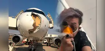 Avión aterriza de emergencia tras impactar con un ave de gran tamaño durante vuelo entre España y Francia Avión aterriza de emergencia tras impactar con un ave de gran tamaño durante vuelo entre España y Francia