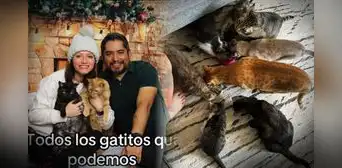 Pareja comparte su 'problema gatuno' y se ganan el corazón de los usuarios: "Ya conocí la envidia"