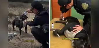 De la calle al uniforme: perrito abandonado ahora es policía en Laredo De la calle al uniforme: perrito abandonado ahora es policía en Laredo