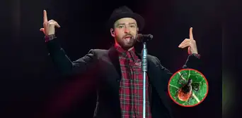¿Qué es la enfermedad de Lyme? El padecimiento que enfrenta Justin Timberlake y cómo se manifiesta en el cuerpo