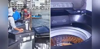 Peruana compró lavadora de contenedor por S/50 y muestra si realmente funciona: "Fui a Ancón y aproveché" Peruana compró lavadora de contenedor por S/50 y muestra si realmente funciona: "Fui a Ancón y aproveché"