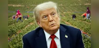 Trump implementará nueva política a favor de trabajadores inmigrantes indocumentados en EEUU para legalizarlos