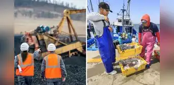 Minería y pesca repuntaron en junio, según el INEI: ¿qué factores impulsaron el resultado? Minería y pesca repuntaron en junio, según el INEI: ¿qué factores impulsaron el resultado?