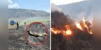 Un pez cayó desde el cielo y ocasionó un incendio en Canadá: el insólito hecho dejó sin luz a cientos en una ciudad Un pez cayó desde el cielo y ocasionó un incendio en Canadá: el insólito hecho dejó sin luz a cientos en una ciudad