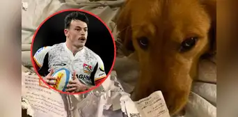 Deportista casi pierde la oportunidad de viajar y participar en un campeonato por su mascota: “El perro se comió mi pasaporte” Deportista casi pierde la oportunidad de viajar y participar en un campeonato por su mascota: “El perro se comió mi pasaporte”