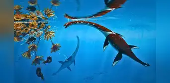 Científicos identifican una nueva especie de dinosaurio marino que vivió hace 183 millones de años Científicos identifican una nueva especie de dinosaurio marino que vivió hace 183 millones de años