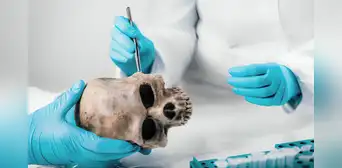 El mentón, la parte del cuerpo humano que la evolución no explica y cuya función sigue siendo un misterio para la ciencia
