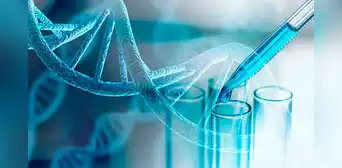 Científicos descubren genes 'que provienen de la nada' y que podrían explicar el origen de ciertos cánceres