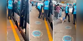Trabajadores del Metropolitano sacan a perrita que se metió a bus y en redes bromean "No pagó su pasaje" Trabajadores del Metropolitano sacan a perrita que se metió a bus y en redes bromean "No pagó su pasaje"