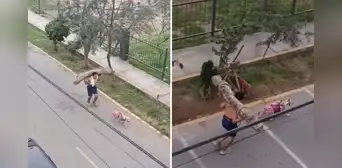 Hombre entrena cargando un tronco en su espalda mientras su perro lo jala y comentarios en TikTok estallan: “Está entrenando para semana santa”