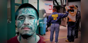 ICE arrestó en Houston a 356 inmigrantes en los primeros 6 meses de Trump: extranjeros tendrían graves antecedentes criminales