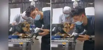 Veterinario explica a perrito en qué consiste la operación que le hará y video conmueve a las redes Veterinario explica a perrito en qué consiste la operación que le hará y video conmueve a las redes