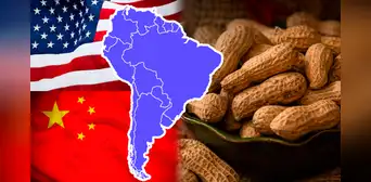 El país de Sudamérica que se ubica como mayor exportador de maní en el mundo: supera a India, China y Estados Unidos El país de Sudamérica que se ubica como mayor exportador de maní en el mundo: supera a India, China y Estados Unidos