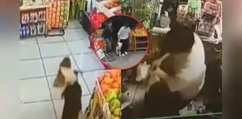 Pitbull mata a perros de raza pequeña en Los Olivos: vecinos denuncian que su dueño lo deja libre