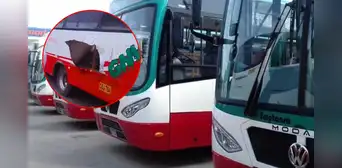 Falso pasajero detona explosivo dentro de bus Emptonsa con pasajeros a bordo en Carabayllo: reportan 3 heridos Falso pasajero detona explosivo dentro de bus Emptonsa con pasajeros a bordo en Carabayllo: reportan 3 heridos