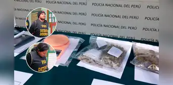 Tacna: capturan a 'Los pitufos' con invernadero de hongos alucinógenos Tacna: capturan a 'Los pitufos' con invernadero de hongos alucinógenos