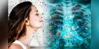 Estudio científico revela que inhalamos 100 veces más microplásticos de lo estimado y advierte riesgo de daños pulmonares