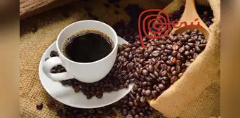 Día del Café Peruano en Lima: miles de cappuccinos gratis y actividades en el Festival Cafesazo Peruano 2025