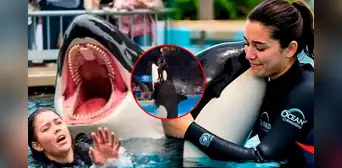 ¿Es real la historia de Jessica Radcliffe? La verdad detrás del video viral de su supuesta muerte tras ataque de una orca ¿Es real la historia de Jessica Radcliffe? La verdad detrás del video viral de su supuesta muerte tras ataque de una orca