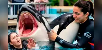 ¿Es real la historia de Jessica Radcliffe? La verdad detrás del video viral de su supuesta muerte tras ataque de una orca